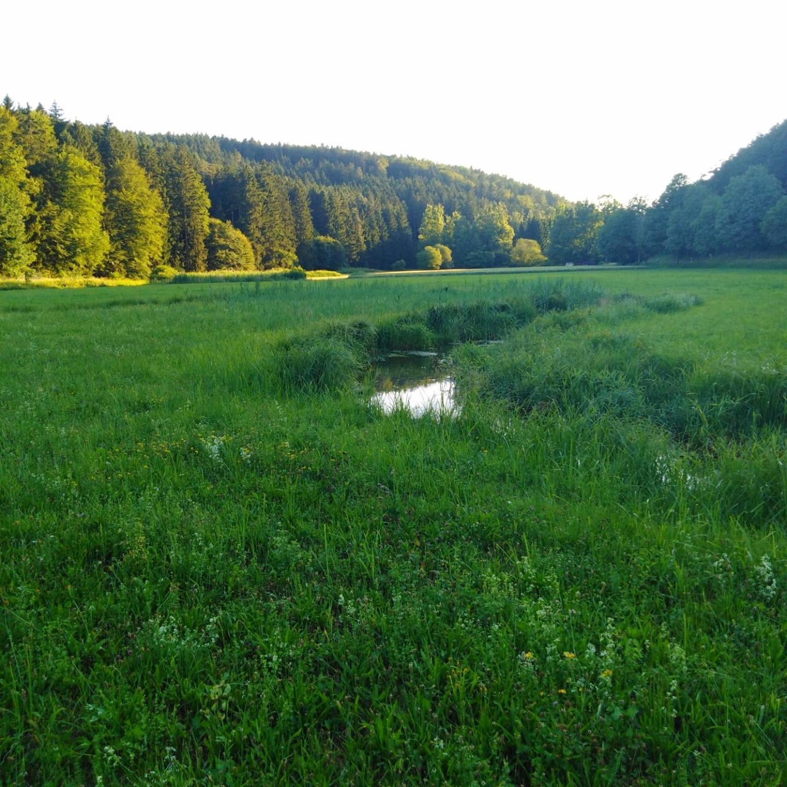 Ferienhaus Am Bach Mit Grossem Garten Deuerling Exterior foto